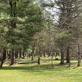 Review photo of Glimmerglass State Park Campground by Janet R., June 11, 2024