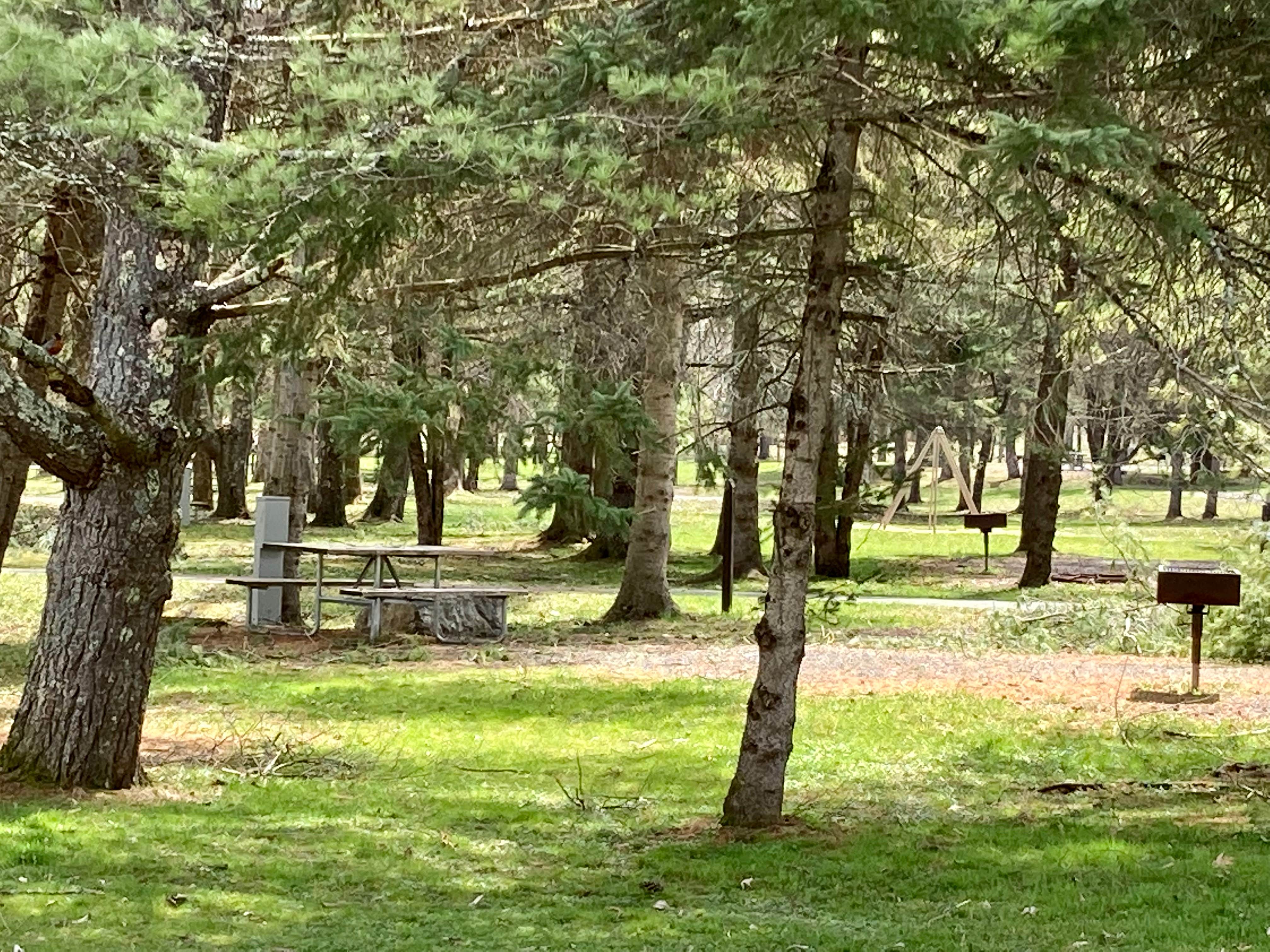 Camper-submitted photo at Glimmerglass State Park Campground near Fort Plain, NY