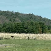 Review photo of Glimmerglass State Park Campground by Janet R., June 11, 2024