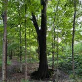 Review photo of Green Lakes State Park Campground by Randall K., July 17, 2024