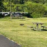 Review photo of Beaver Pond Campground in Harriman State Park by Ruth M., March 12, 2026