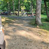 Review photo of Beaver Pond Campground in Harriman State Park by Joyce , August 11, 2026