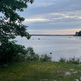 Review photo of Kring Point State Park Campground by Carol B., June 27, 2025
