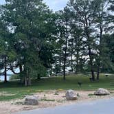 Review photo of Kring Point State Park Campground by Carol B., June 27, 2025