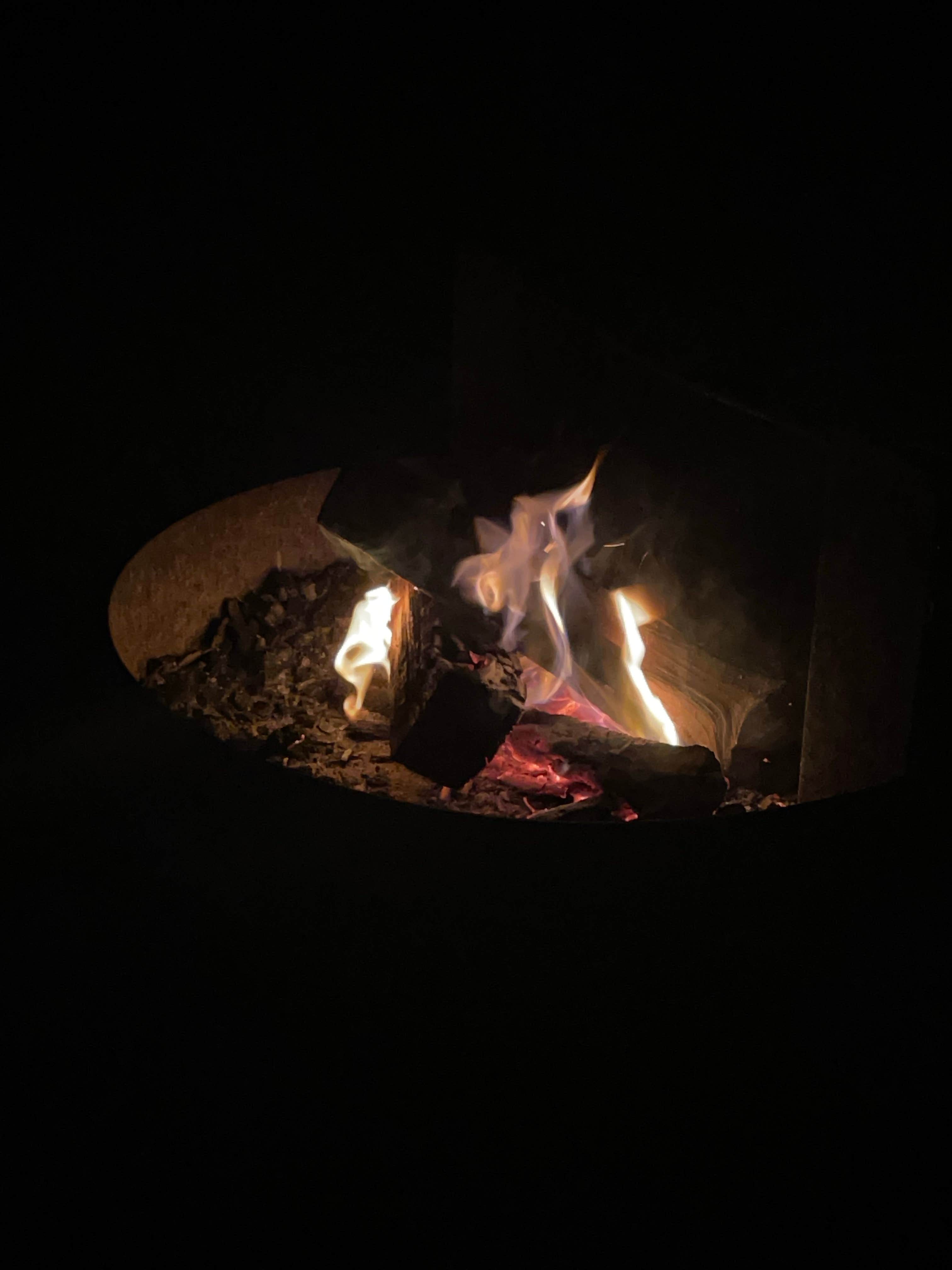 Camper submitted image from Kring Point State Park Campground - 3