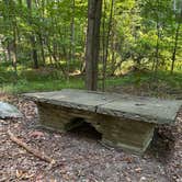 Review photo of Letchworth State Park Campground by Dwight F., August 7, 2026