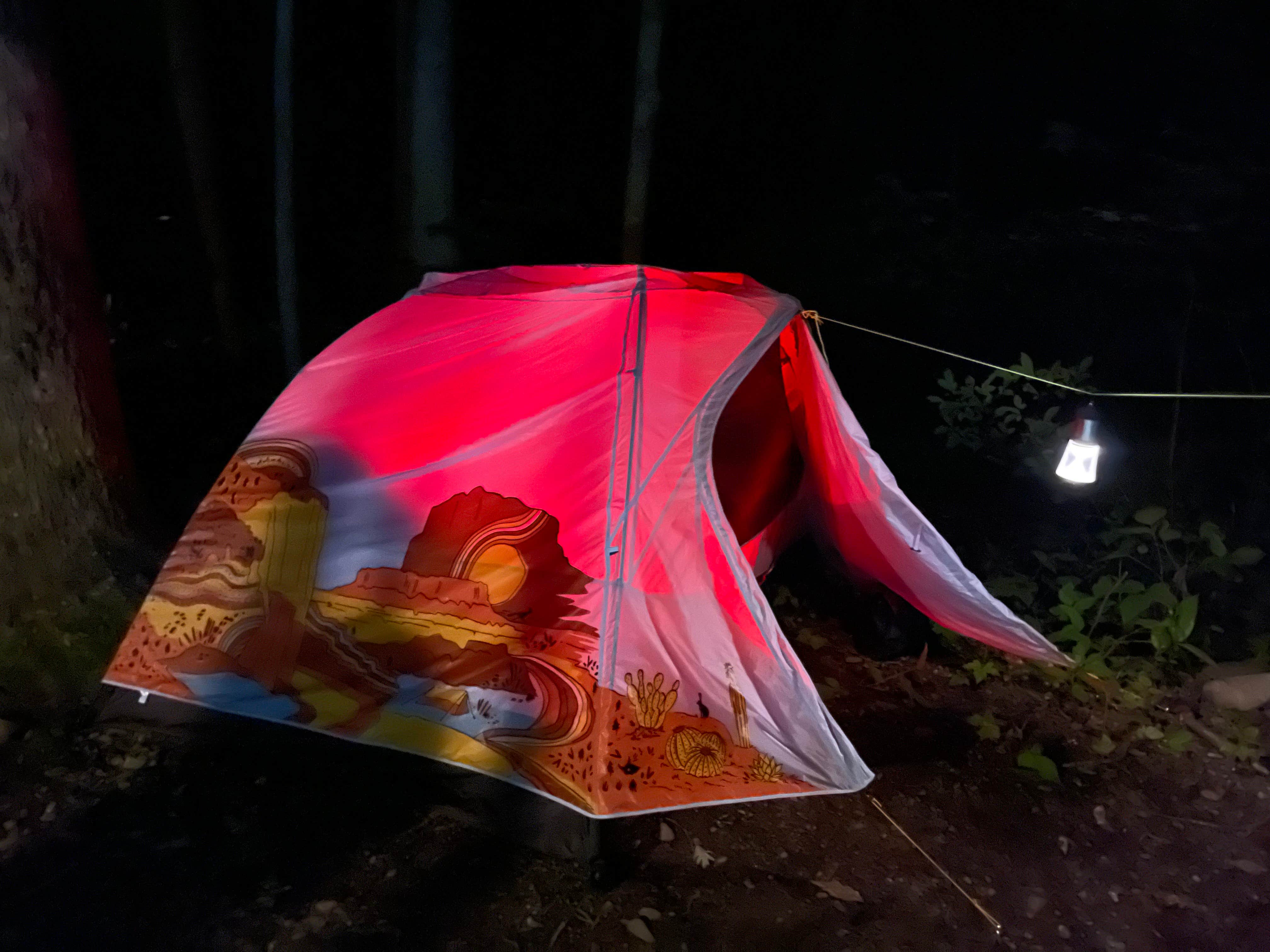 Kipa S.'s photo at Little Pond Campground near Downsville, NY