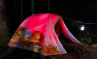 Kipa S.'s photo at Little Pond Campground near Downsville, NY