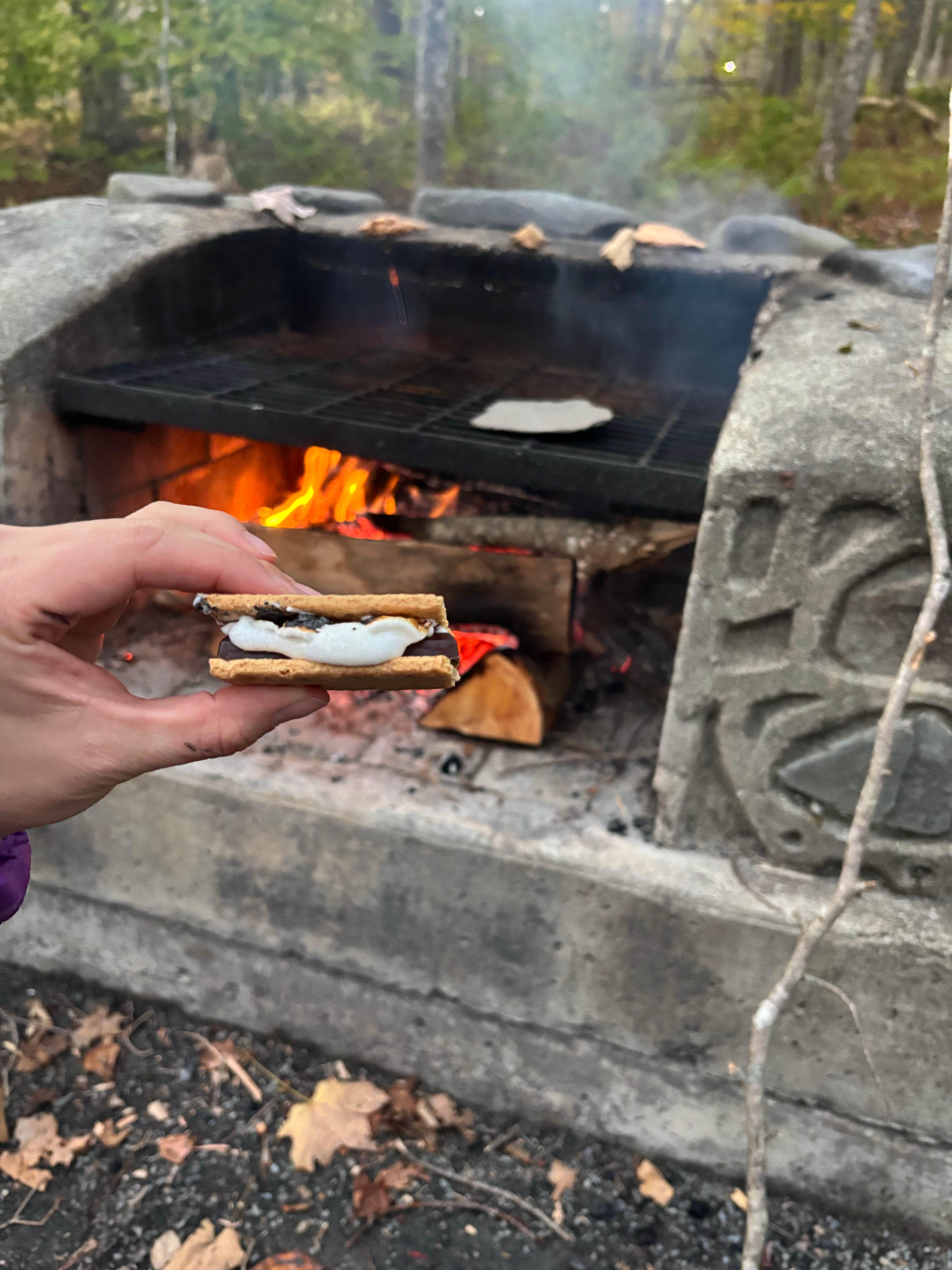 Kelly B.'s photo of camping with pets at Little Pond Campground near Oneonta, NY