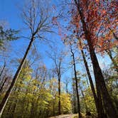 Review photo of Little Pond Campground by Kelly B., September 8, 2026