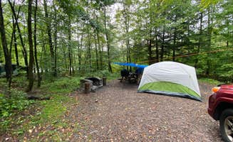 Casey L.'s photo at Little Pond Campground near Walton, NY