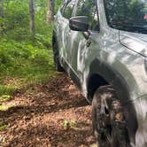 Review photo of Little Pond Campground by Gabriella G., July 3, 2025