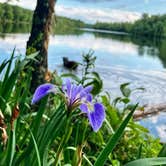 Review photo of Mongaup Pond by Erik C., July 2, 2026