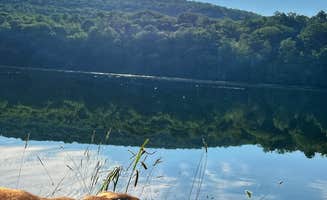 Erik C.'s photo of camping with pets at Mongaup Pond near Roxbury, NY