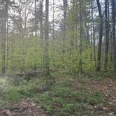 Review photo of Moreau Lake State Park Campground by Michi P., May 11, 2025
