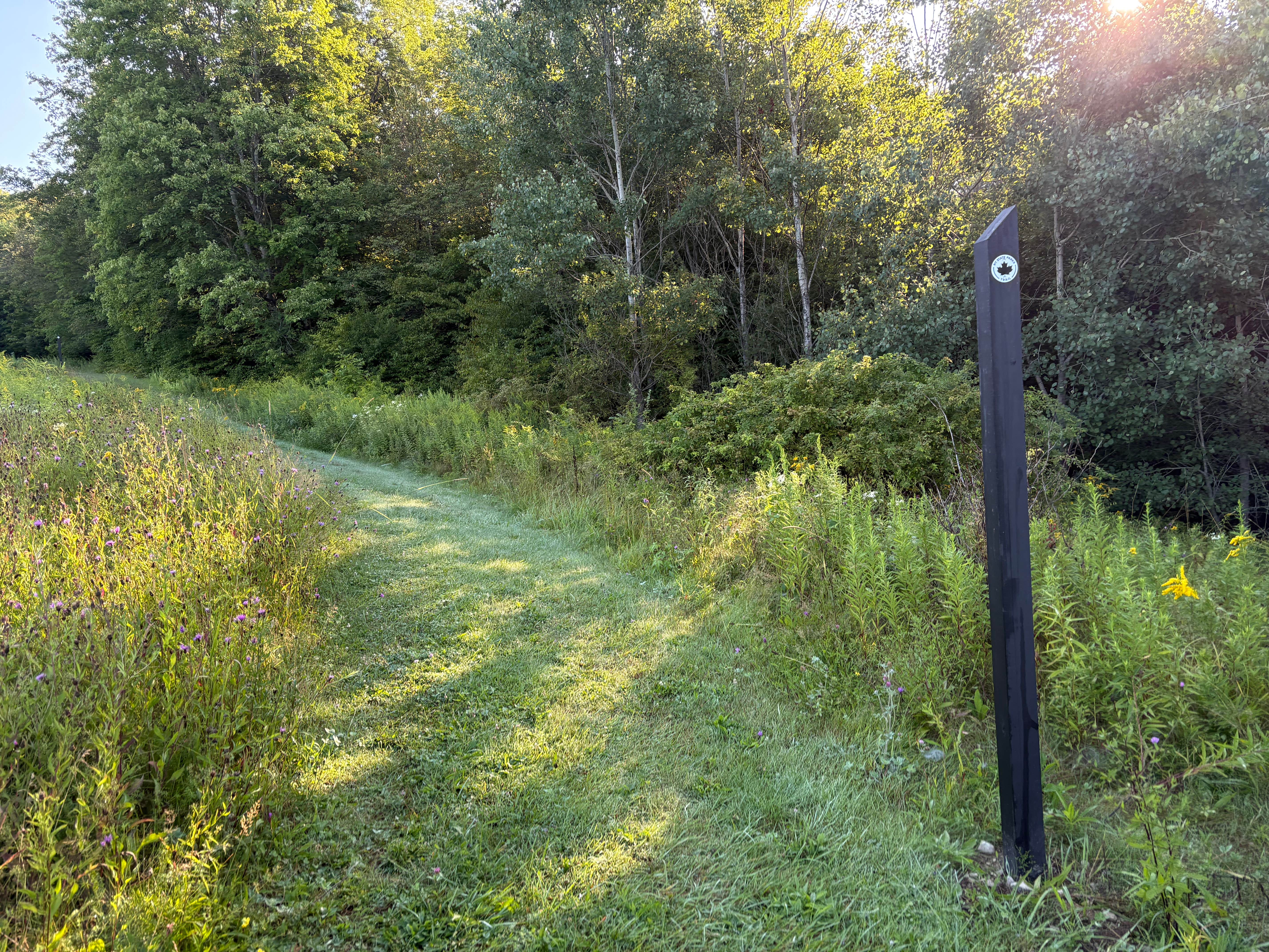 Camper-submitted photo at Oquaga Creek State Park Campground near Deposit, NY