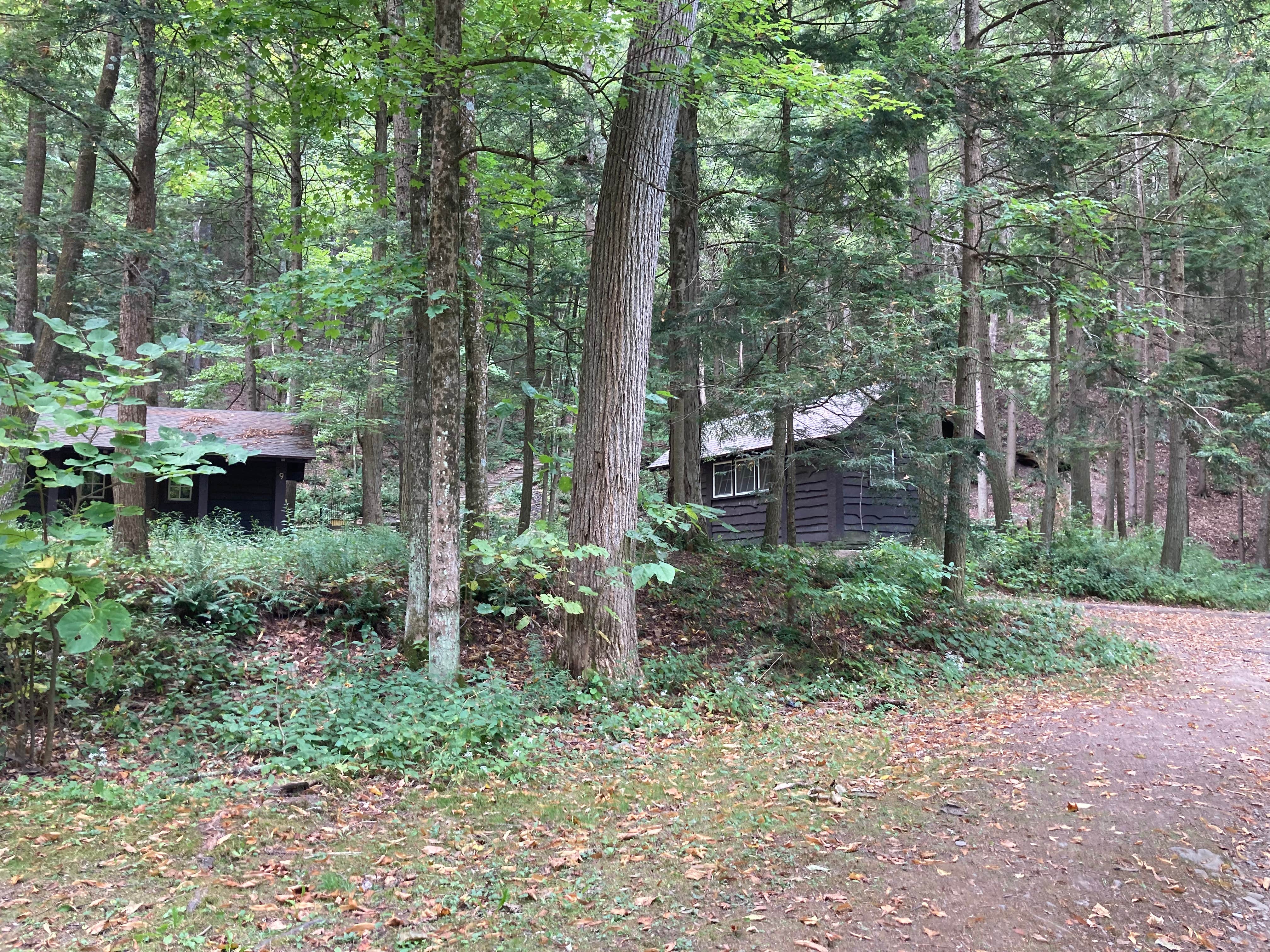 Janet R.'s photo of a cabin at Robert H. Treman State Park Campground near Monroe, PA