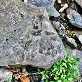 Review photo of Robert H. Treman State Park Campground by Janet R., December 31, 2025