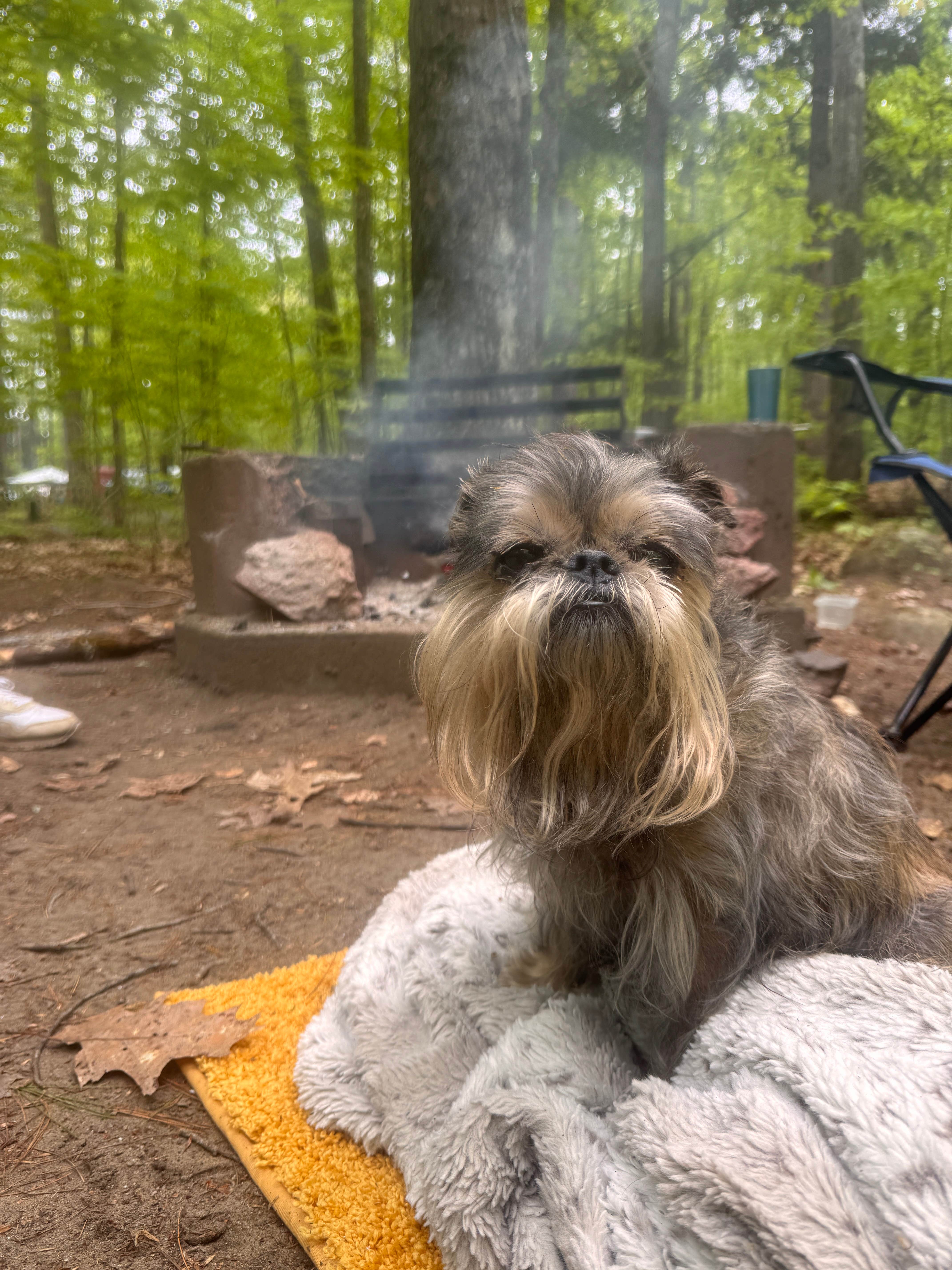 Camping near Sunset Bay Vacation Resort - RV Park and Marina: Sacandaga Campground — Adirondack Preserve, Wells, New York