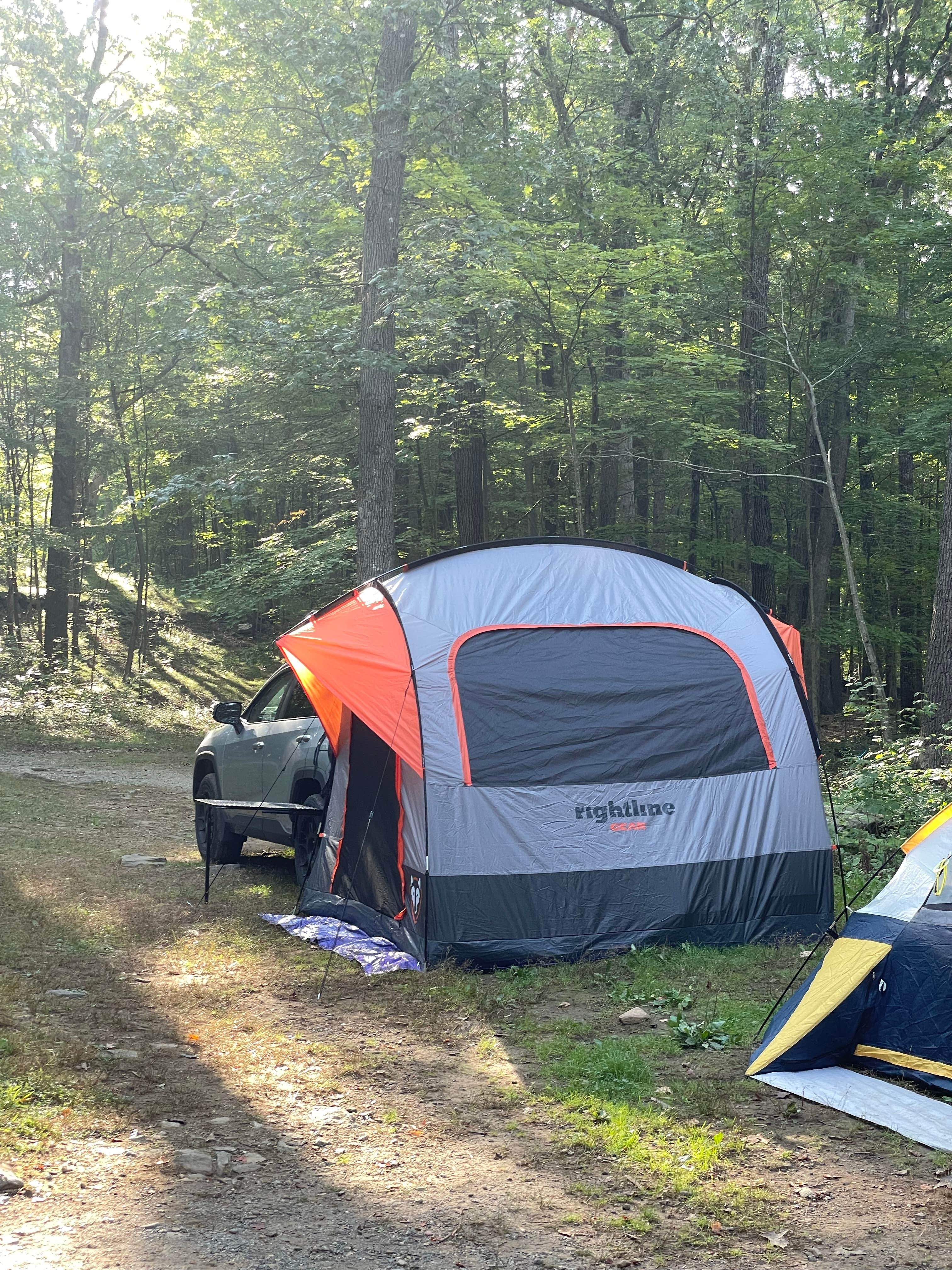 Paul R.'s photo at Ward Pound Ridge Reservation near Irvington, NY