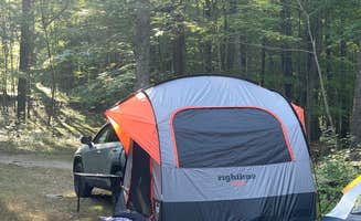 Paul R.'s photo at Ward Pound Ridge Reservation near Orange, CT