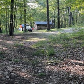 Review photo of Ward Pound Ridge Reservation by Paul R., December 5, 2023