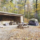 Review photo of Ward Pound Ridge Reservation by Misty V., November 20, 2025