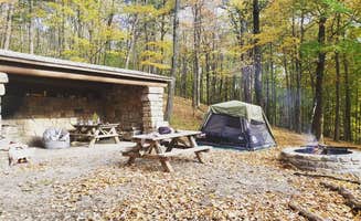 Misty V.'s photo at Ward Pound Ridge Reservation in New York
