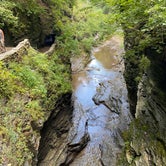 Review photo of Watkins Glen State Park Campground by Terry K., September 14, 2023