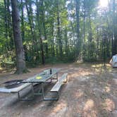 Review photo of Watkins Glen State Park Campground by Casey L., August 17, 2025