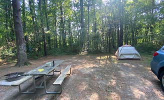 Casey L.'s photo at Watkins Glen State Park Campground near Bath, NY