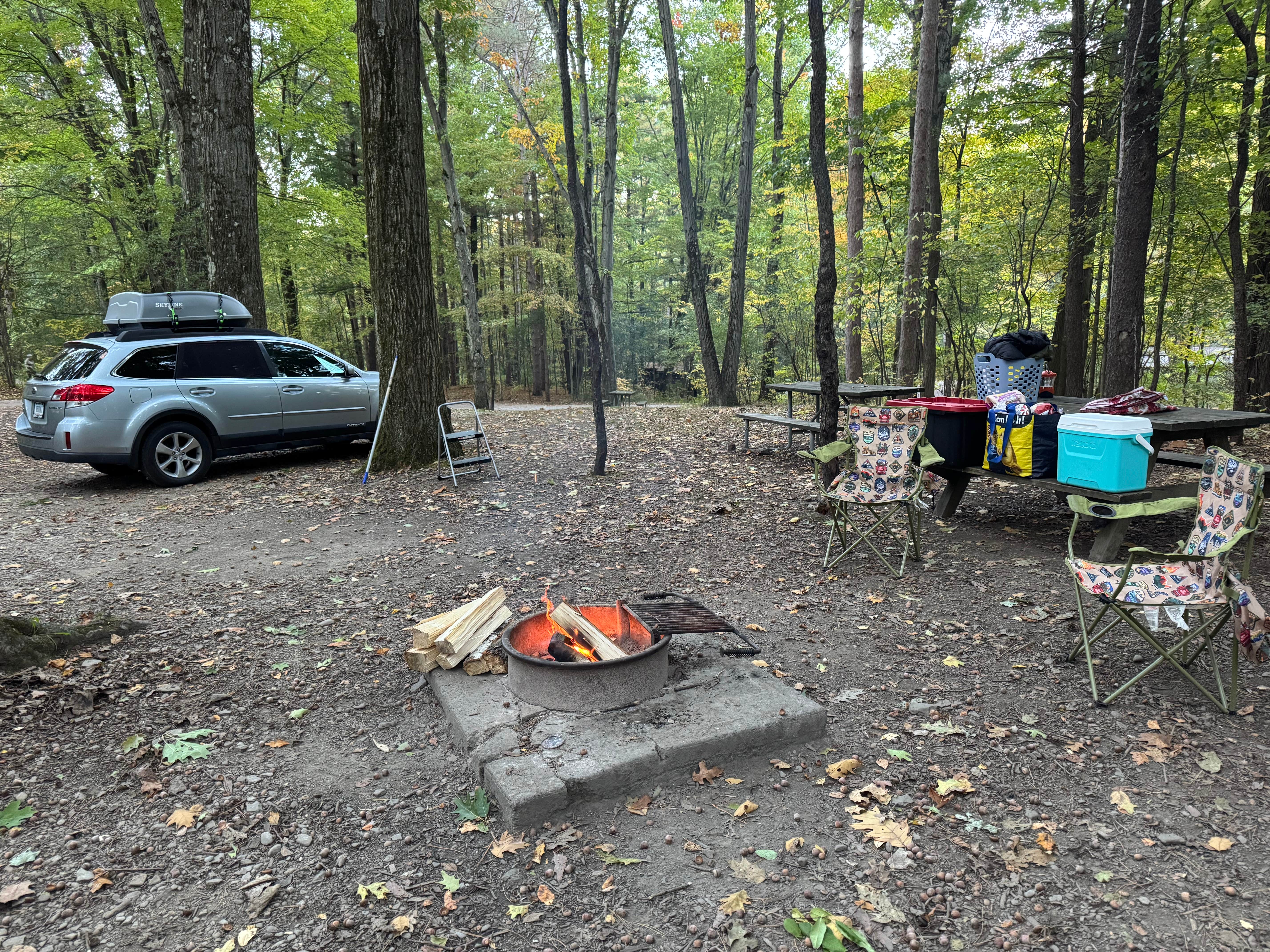 Robert L.'s photo at Watkins Glen State Park Campground near Corning, NY
