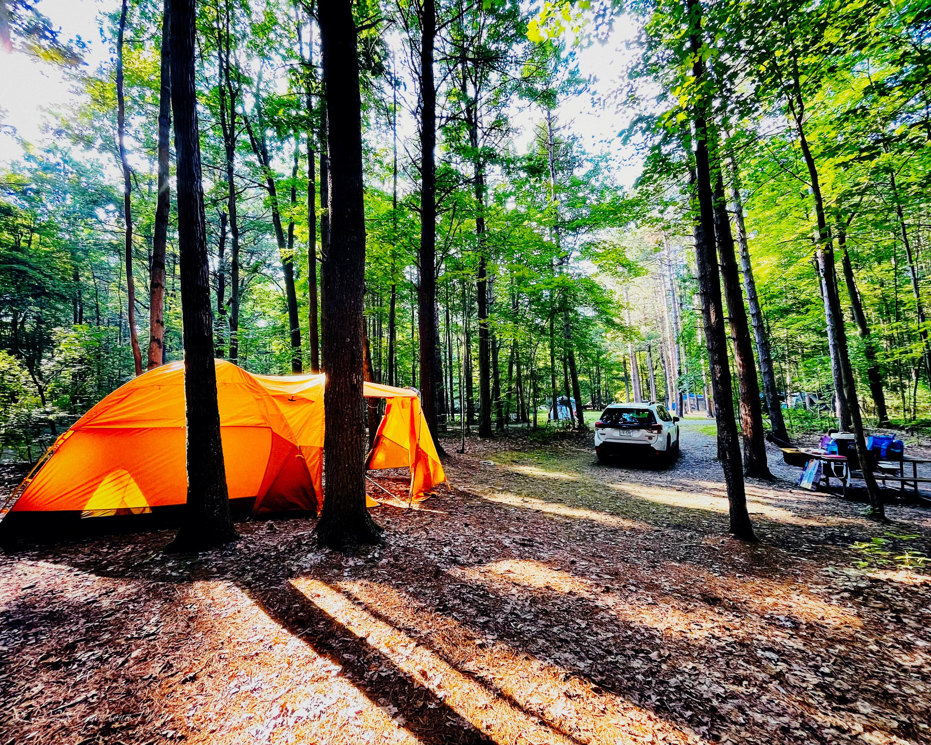 Mea H.'s photo at Watkins Glen State Park Campground near Pine City, NY