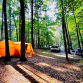 Review photo of Watkins Glen State Park Campground by Mea H., September 16, 2023