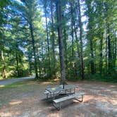 Review photo of Watkins Glen State Park Campground by Casey L., August 17, 2025