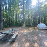 Review photo of Watkins Glen State Park Campground by Casey L., August 17, 2025