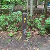 Review photo of Watkins Glen State Park Campground by Terry K., September 14, 2023