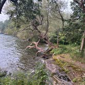 Review photo of Wellesley Island State Park Campground by Erin B., August 5, 2025