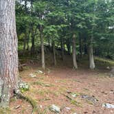Review photo of Wellesley Island State Park Campground by Erin B., August 5, 2025