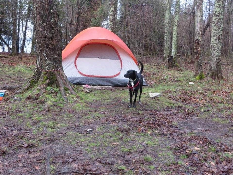 Kay K.'s photo of tent camping at Newport State Park Campground near Ephraim, WI