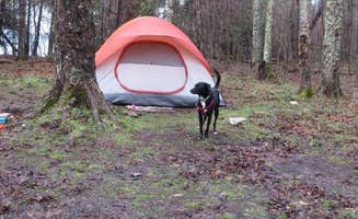 Kay K.'s photo of tent camping at Newport State Park Campground near Sturgeon Bay, WI