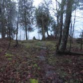Review photo of Newport State Park Campground by Kay K., August 24, 2025