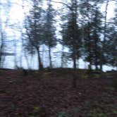 Review photo of Newport State Park by Kay K., August 24, 2025