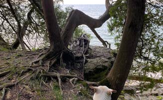 Kay K.'s photo of camping with pets at Newport State Park Campground near Ephraim, WI