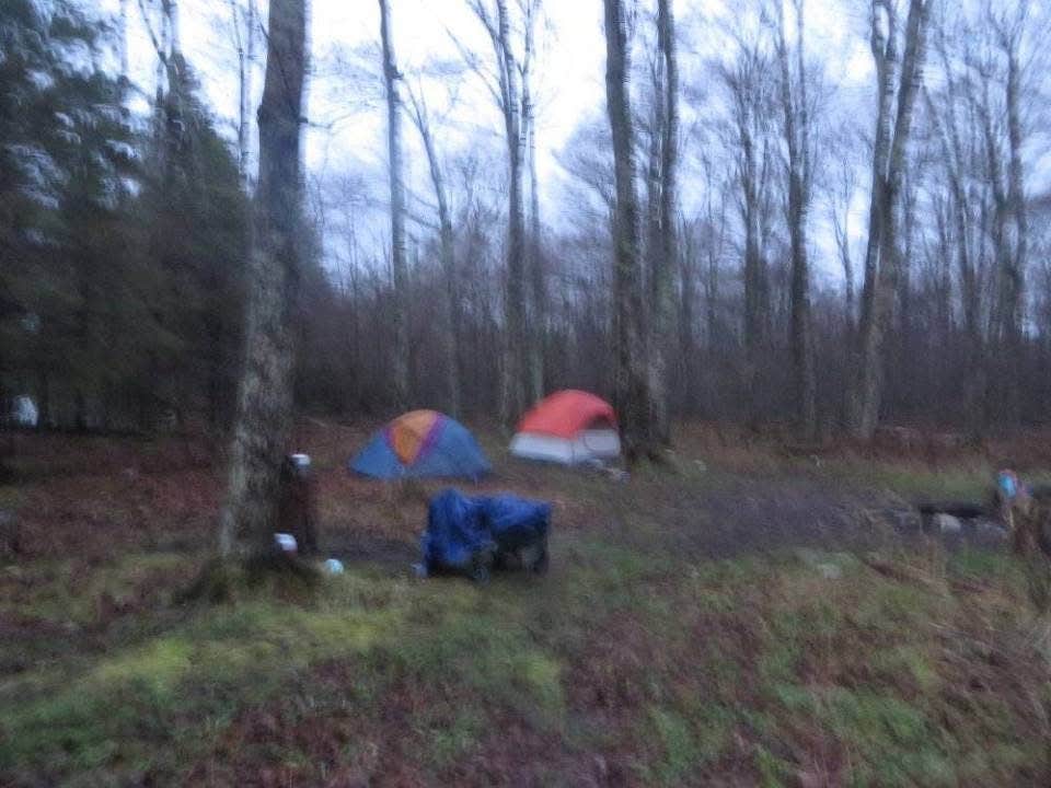 Kay K.'s photo of tent camping at Newport State Park Campground near Jacksonport, WI