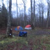 Review photo of Newport State Park Campground by Kay K., August 24, 2025
