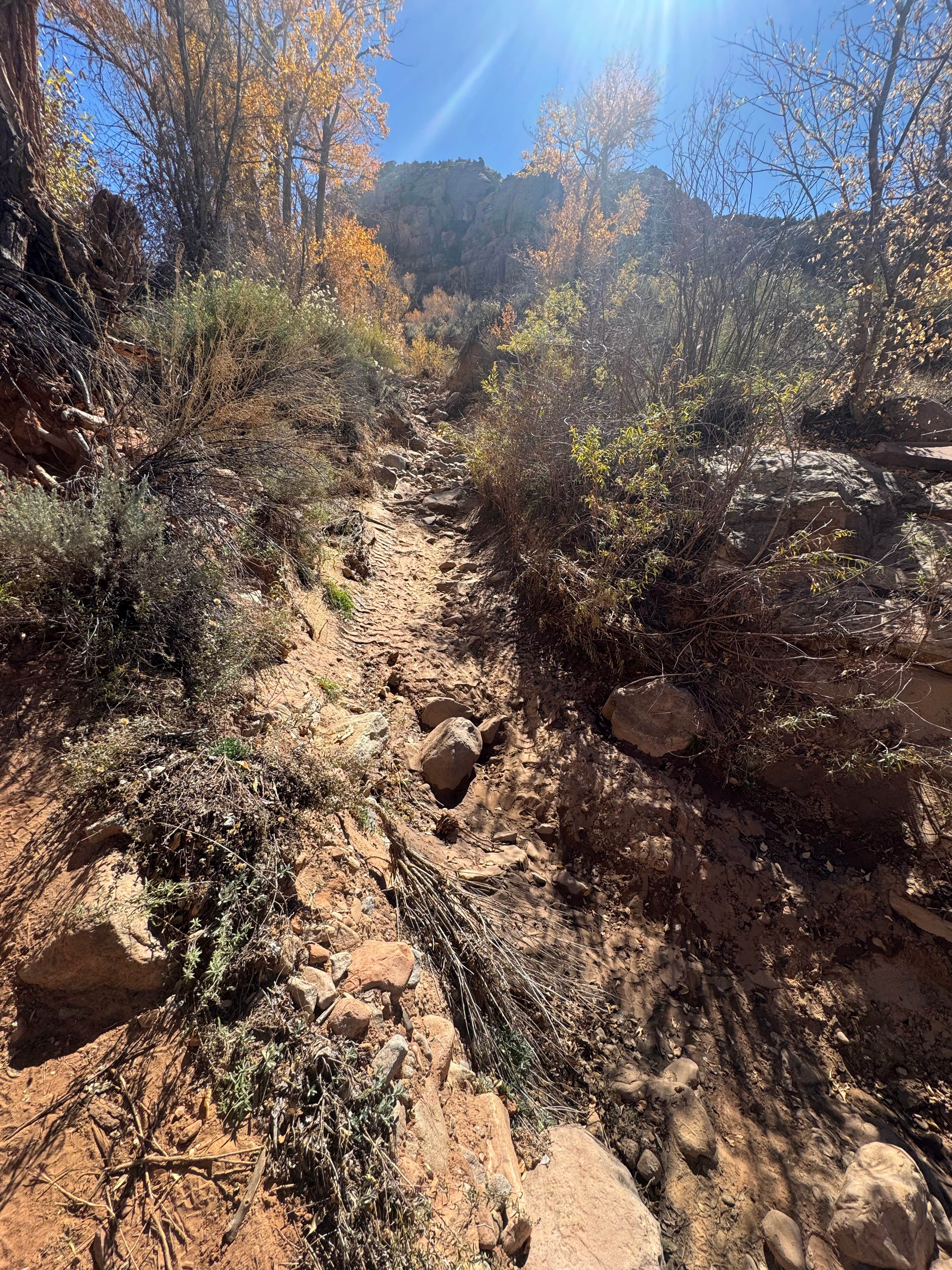 Camper submitted image from Newspaper Rock - 1