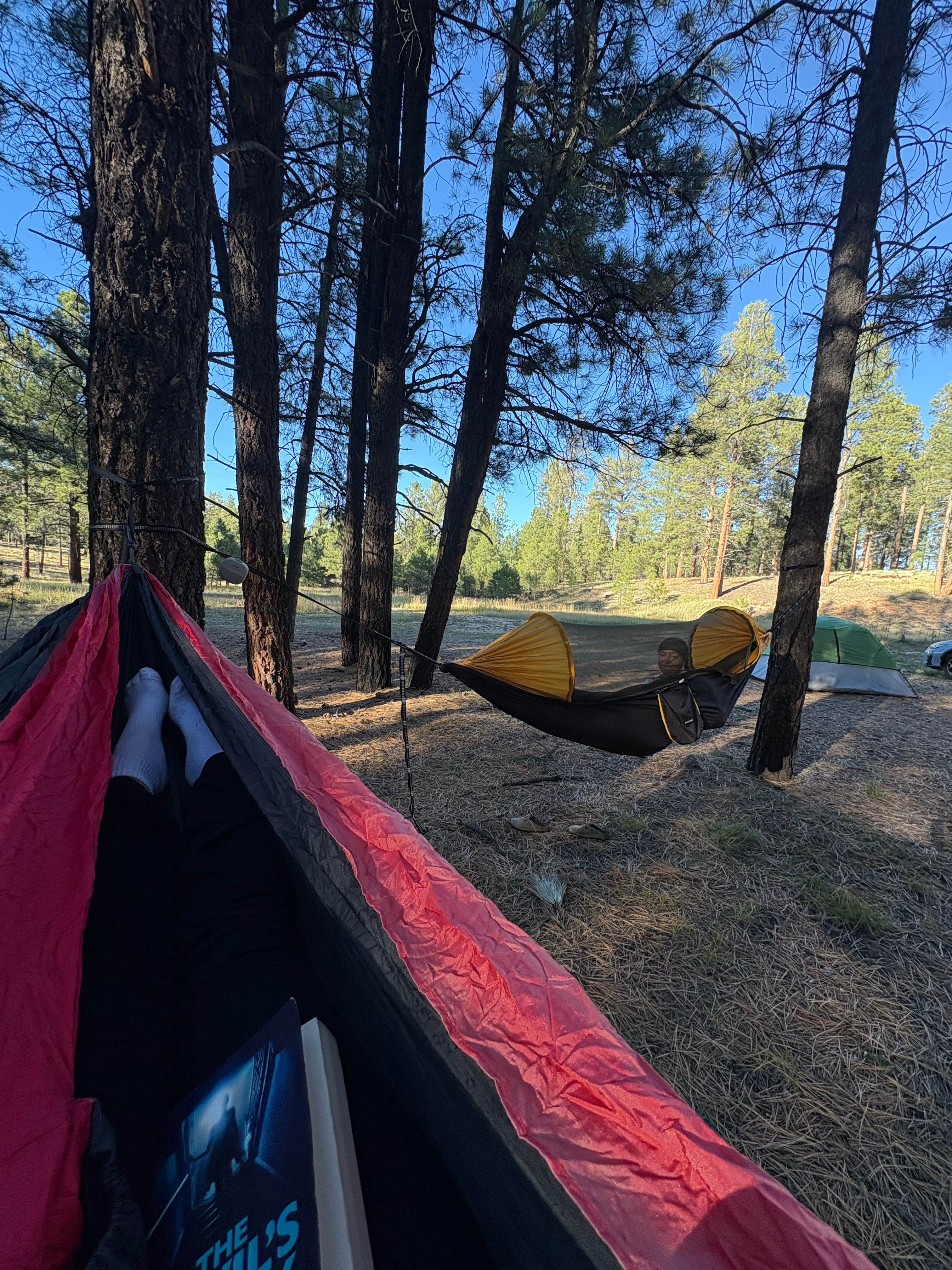 Camper submitted image from NF 200A Dispersed - 2