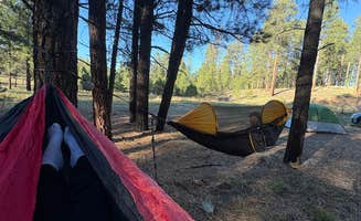 Emma C.'s photo of a dispersed camping area at NF 200A Dispersed near Jacob Lake, AZ
