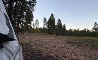 Emma C.'s photo of a dispersed camping area at NF 200A Dispersed near Jacob Lake, AZ